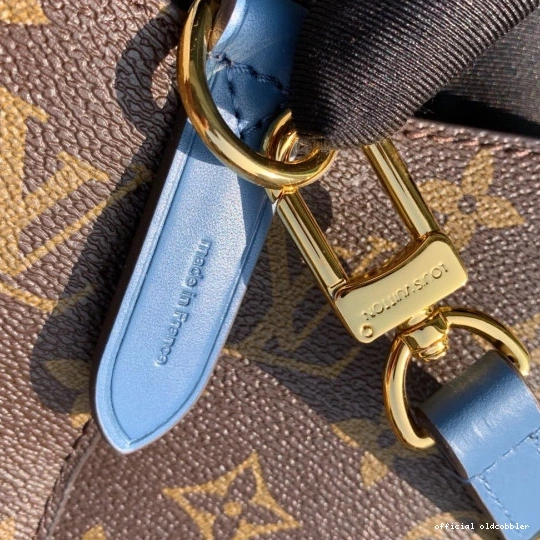Official oldcobbler LOUIS NÉONOÉ VUITTON 0722
